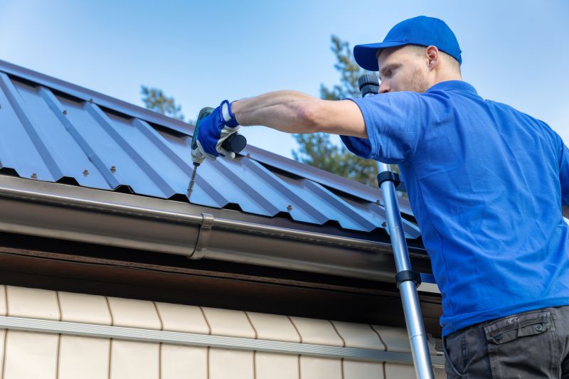 Professional Roofing Contractors